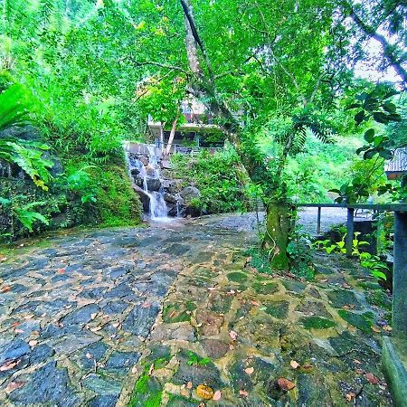 Forest Shade Eco Resort Deraniyagala Luaran gambar