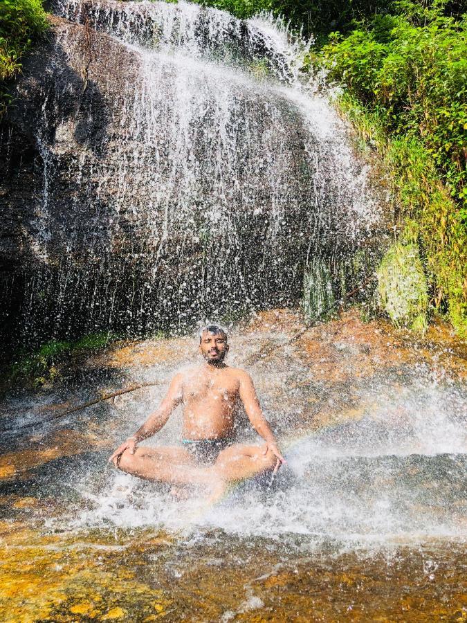 Forest Shade Eco Resort Deraniyagala Luaran gambar