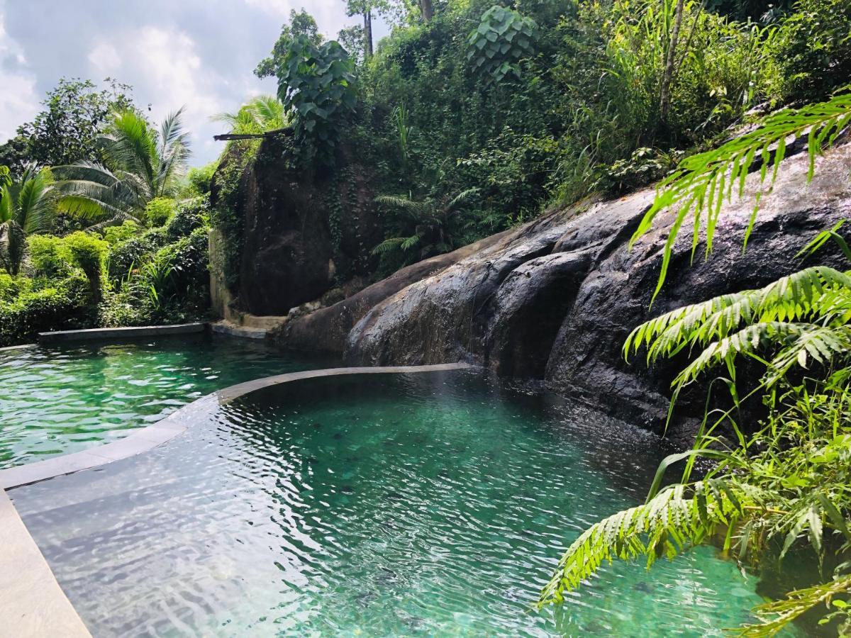 Forest Shade Eco Resort Deraniyagala Luaran gambar