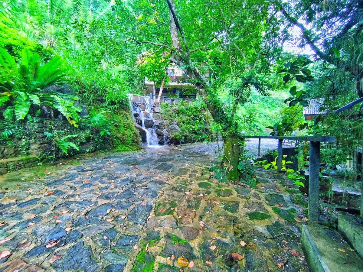 Forest Shade Eco Resort Deraniyagala Luaran gambar