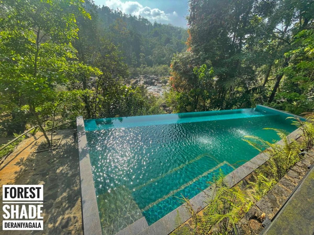 Forest Shade Eco Resort Deraniyagala Luaran gambar