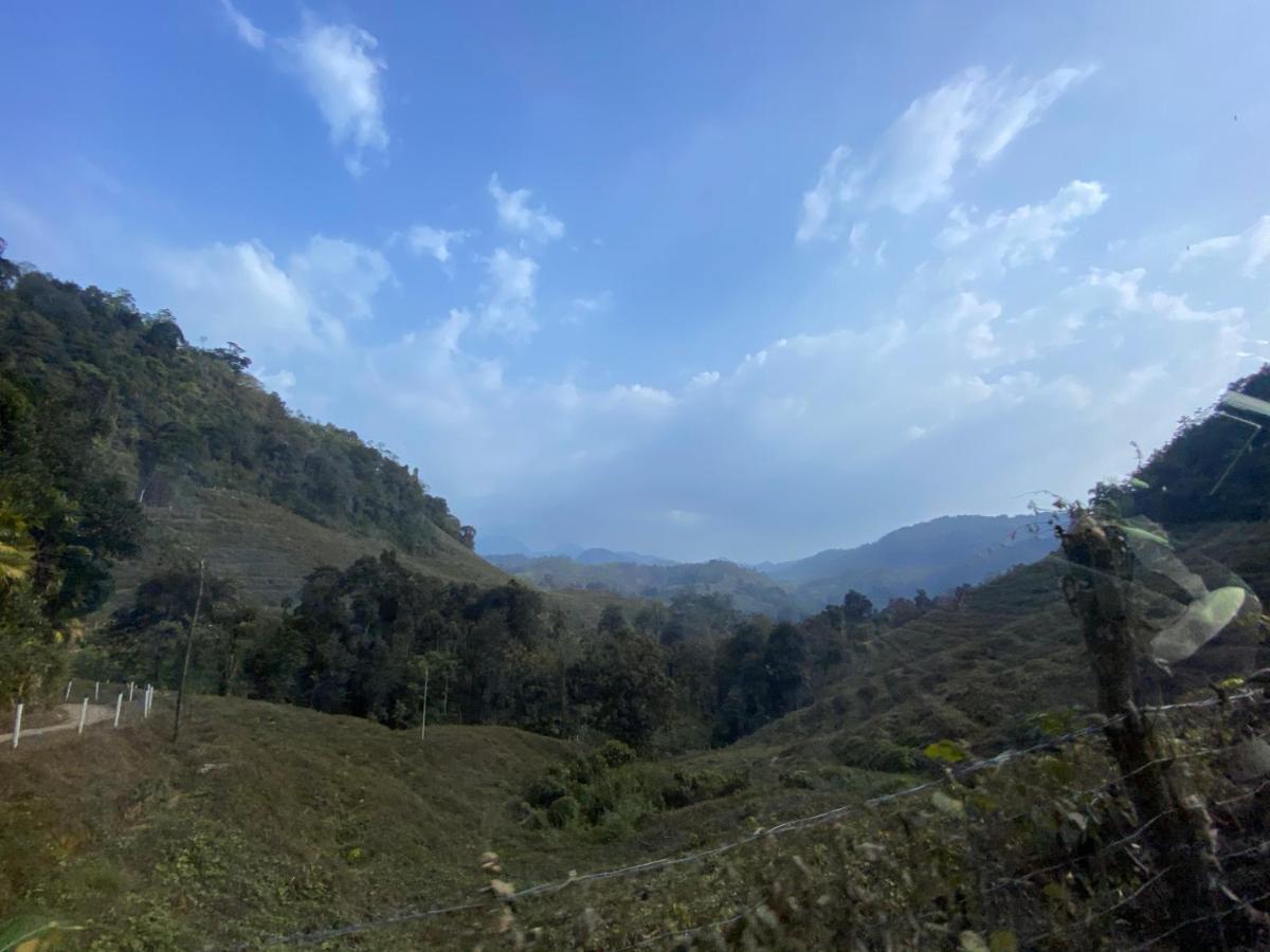 Forest Shade Eco Resort Deraniyagala Luaran gambar